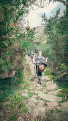 Inca Trail